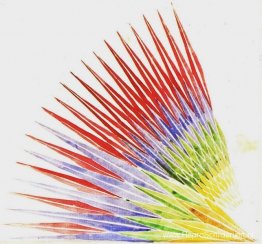 Studie voor iriserende interpenetratie