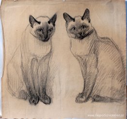 Twee Siamese katten