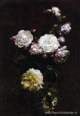 Witte Rozen