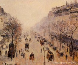 Boulevard Montmartre Ochtend, zonlicht en mist