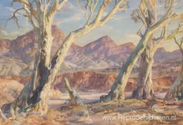 Flinders Ranges-landschap