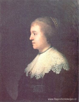 Portret van prinses Amalia van Solms