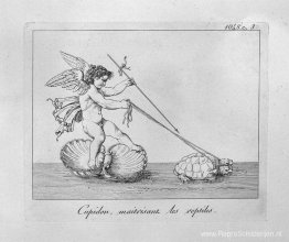 Cupido en de schildpadden