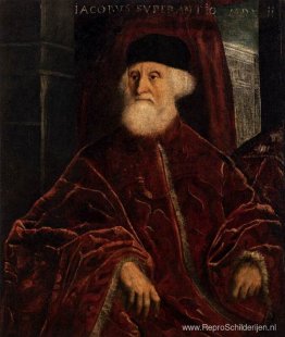 Portret van Jacopo Soranso