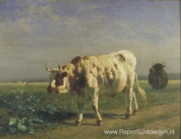 De witte stier