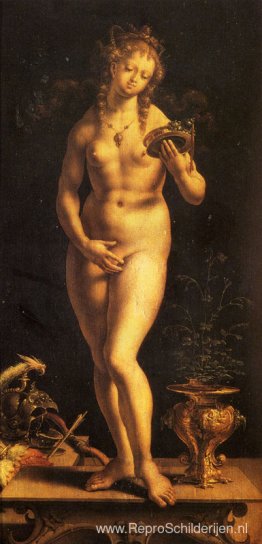 Venus en de spiegel