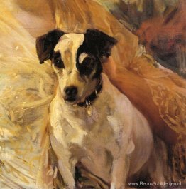 Portret van een Jack Russell