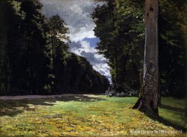 De Pave de Chailly in het bos van Fontainbleau