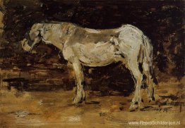 Het Witte Paard