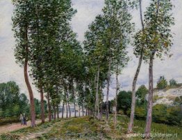 Lane of Poplars aan de oevers van de Loing