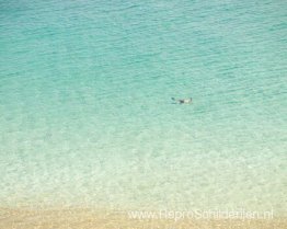 Snorkelaar (na Misrach), Maui, Hawaï