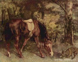 Paard in het bos