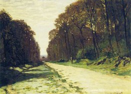 Weg in een bos Fontainebleau