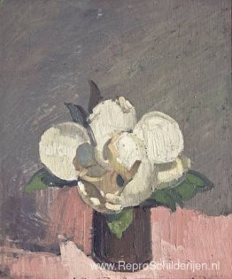 Magnolia