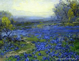 Ochtend in de Bluebonnets