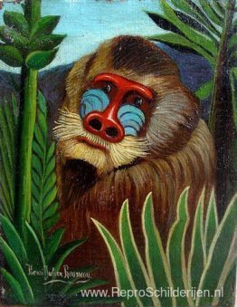 Mandril in de jungle