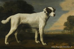 De witte hond van burggraaf Gormanston