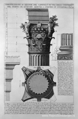 De Romeinse oudheden, t. 4, Plaat XLV. Uitzicht op de grote hoof