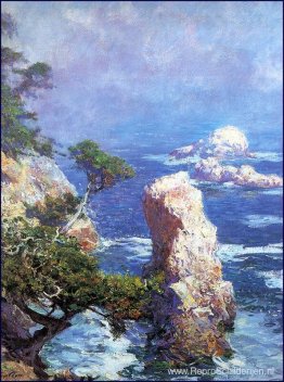 Mist boven Point Lobos