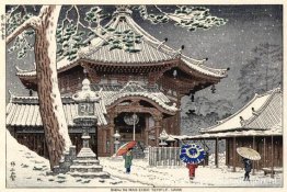 Sneeuw bij de Nan-endo-tempel, Nara