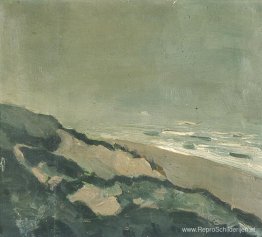 Duinen en zee