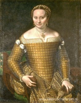 Portret van Bianca Ponzoni Anguissola, de moeder van de kunstena