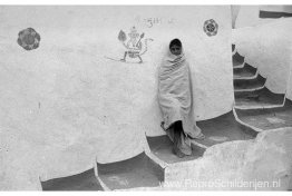 Stappen in een landelijk dorp, Rajasthan