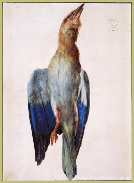 Dode Blauwvogel