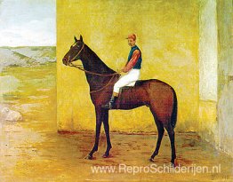 Jockey en paard