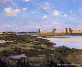 Landschap van Aigues-Mortes