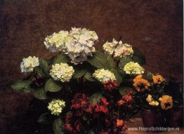 Hortensia's, kruidnagel en twee potten met viooltjes