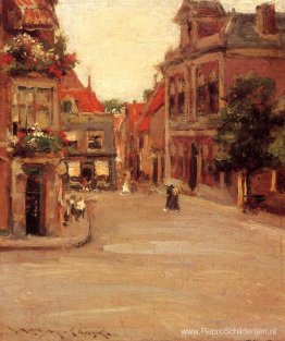 De Rode Daken van Haarlem, ook wel A Street in Holland genoemd