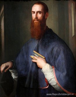 Portret van Niccolò Ardinghelli