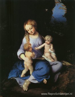 Madonna en Kind met de Jonge Sint-Jan