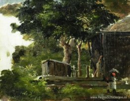 Landschap met huis in het bos in Saint Thomas, Antillen