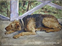 Airedale op het balkon