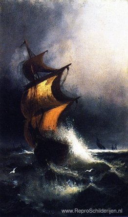 Schip in een storm