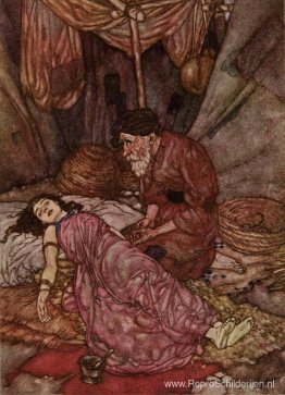 Het gezicht van de ellendige man, de Rubaiyat van Omar Khayyam