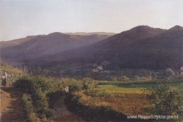 Berglandschap met wijngaard