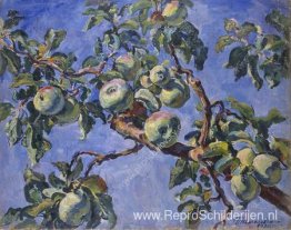 Appels tegen de blauwe lucht