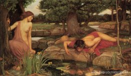 Echo en Narcissus