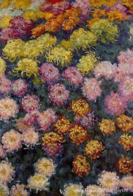 Bed van Chrysanten