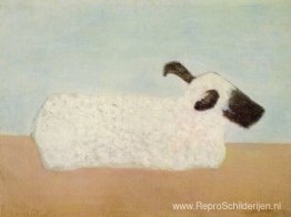 Schaap