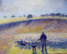 Herder en schapen