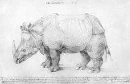 Neushoorn