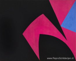 Magische ruimtevormen (zwart, fuchsia)