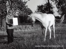 Zonder titel (paard), Onzichtbare schilderkunst/energie