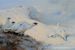 Ptarmigan roept in de sneeuw