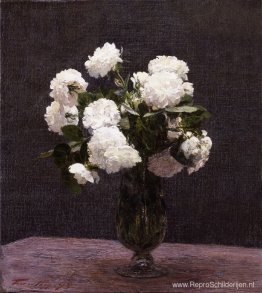 Witte Rozen