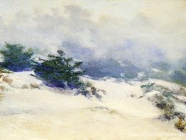 Mistige duinen, Carmel